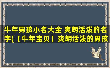 牛年男孩小名大全 爽朗活泼的名字(【牛年宝贝】爽朗活泼的男孩小名大全)